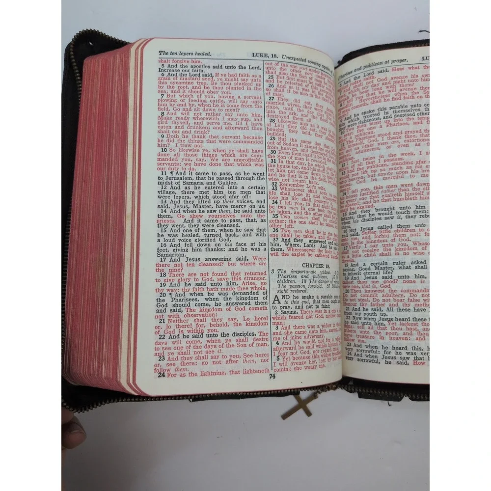 VNTG LOT 2 NEED TLC🚨Holy Bible KJV World Publishing Co. Illustrated -NO WRITING